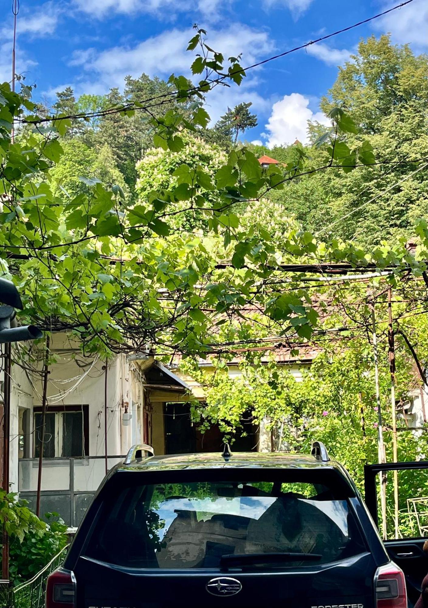 Villa Casa Ming Braşov Esterno foto