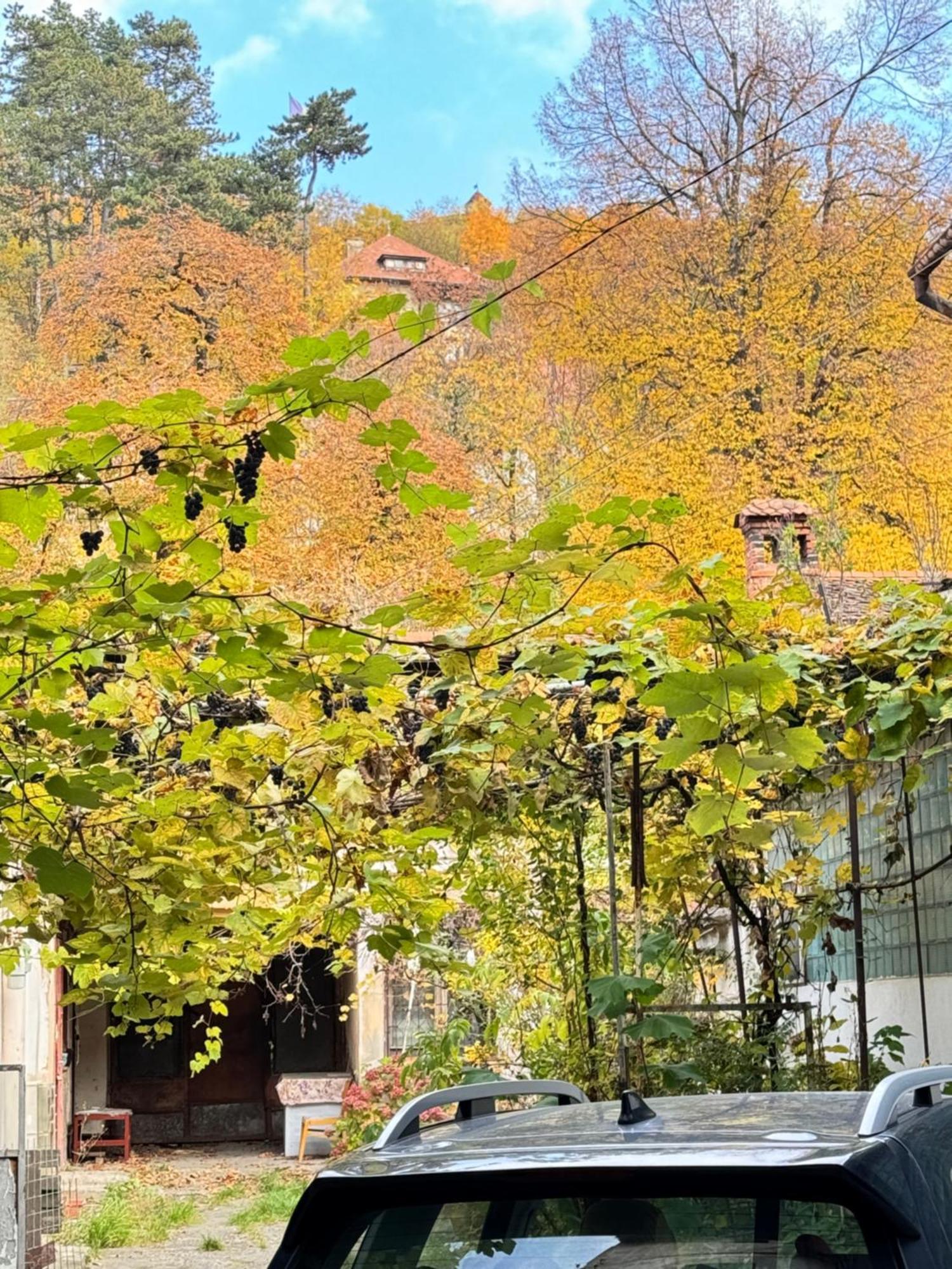 Villa Casa Ming Braşov Esterno foto