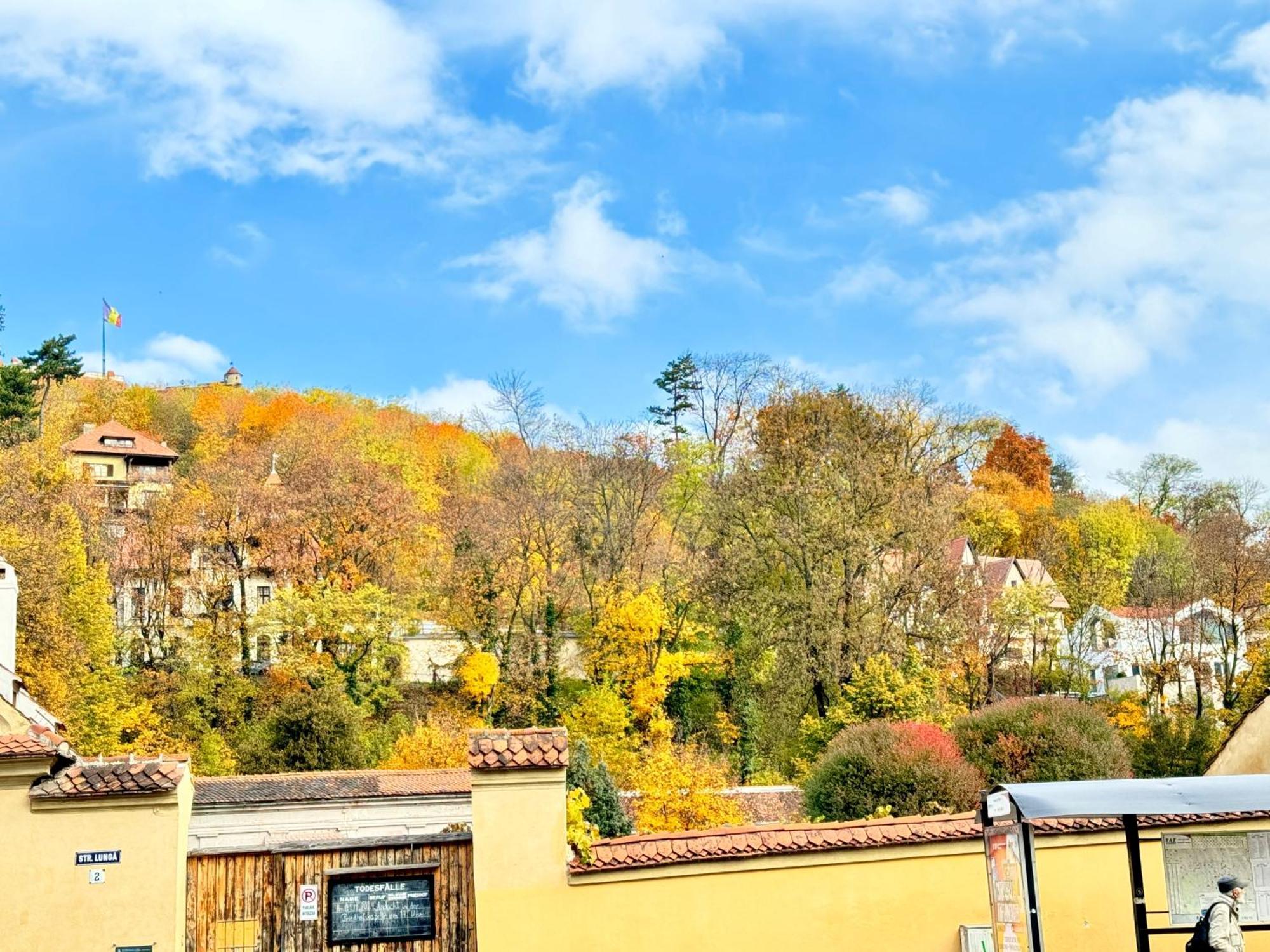 Villa Casa Ming Braşov Esterno foto